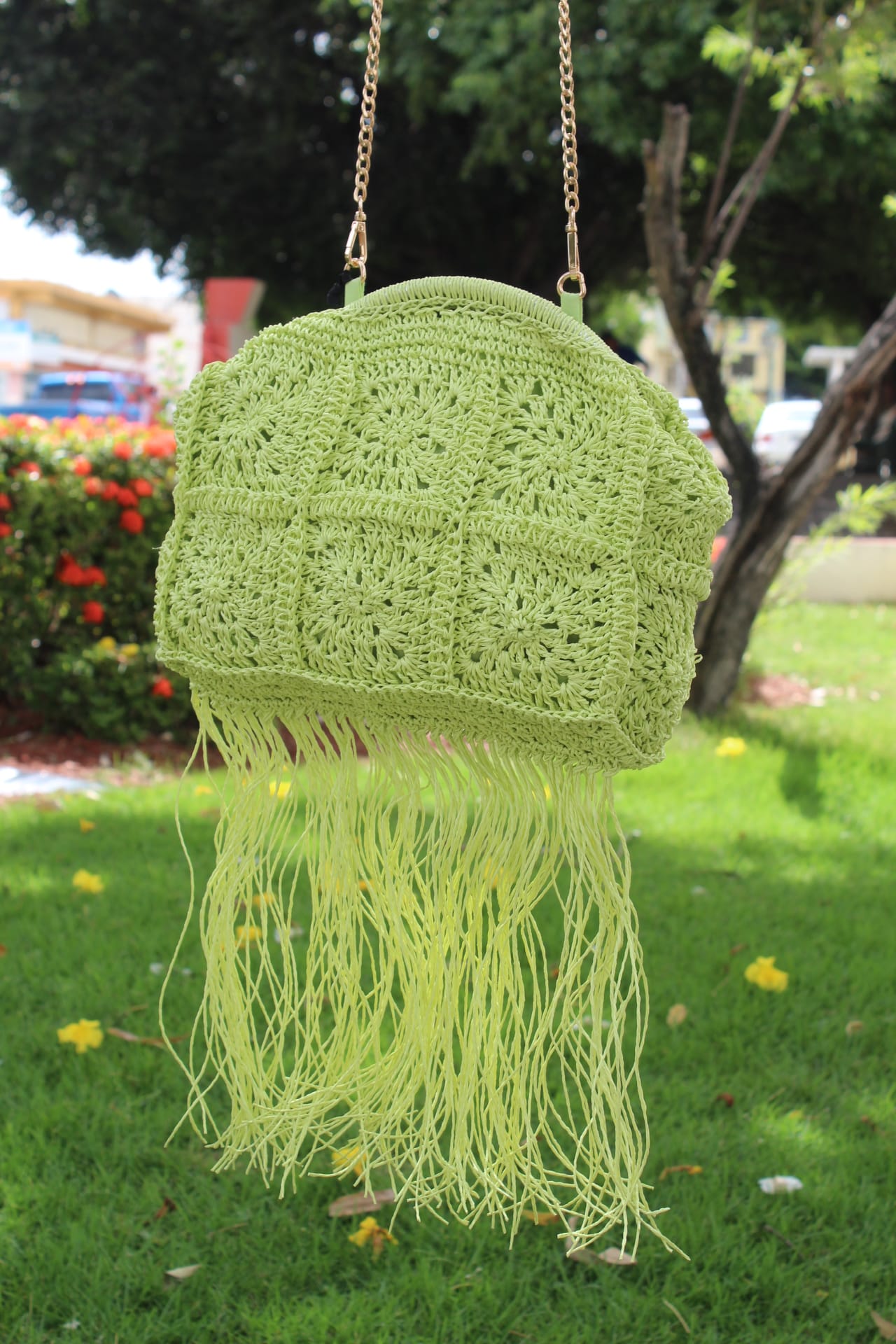 Lime paperbag with Fringes